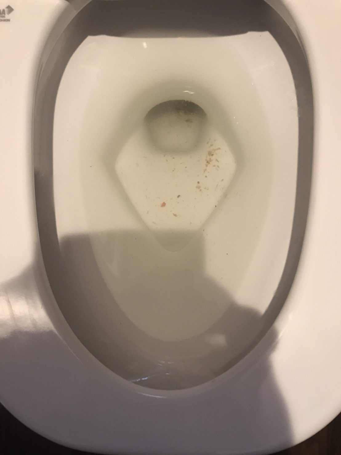生野区トイレ詰まり修理評判